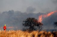 Marsala, emanata una ordinanza per la prevenzione degli incendi boschivi