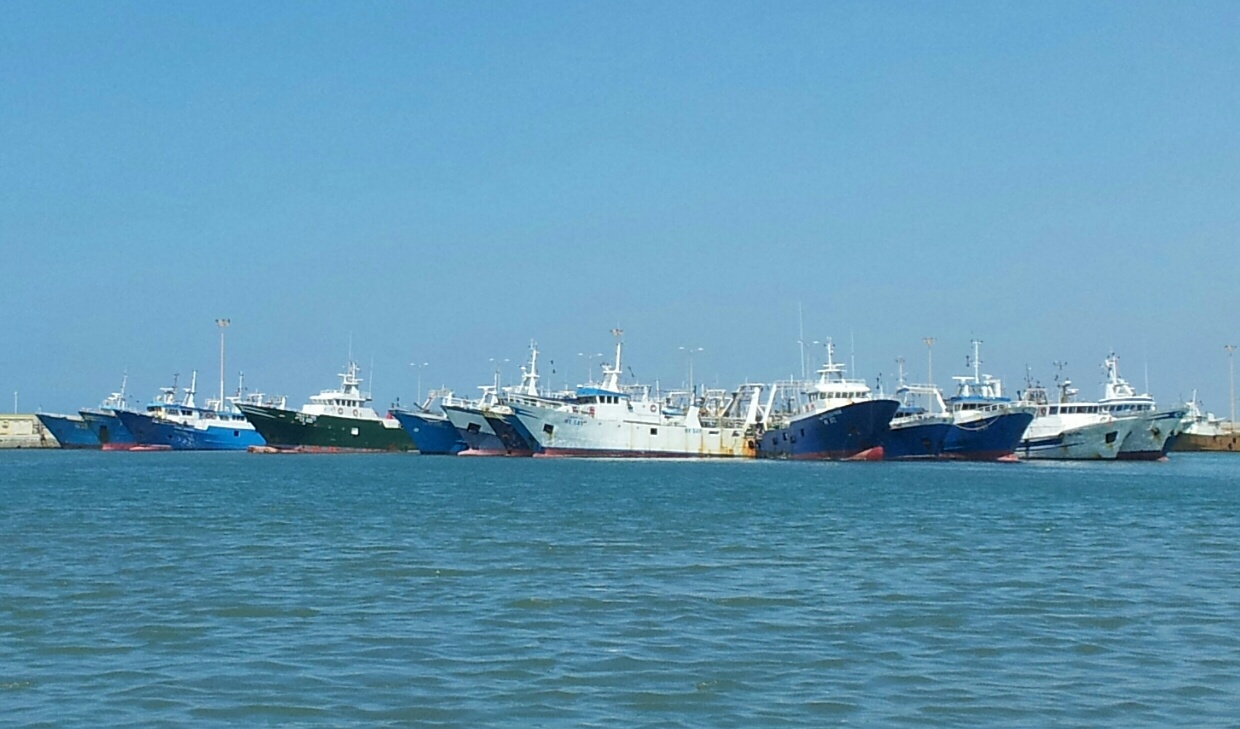 Mazara, I portavoce del Movimento 5 Stelle incontrano gli operatori del settore pesca