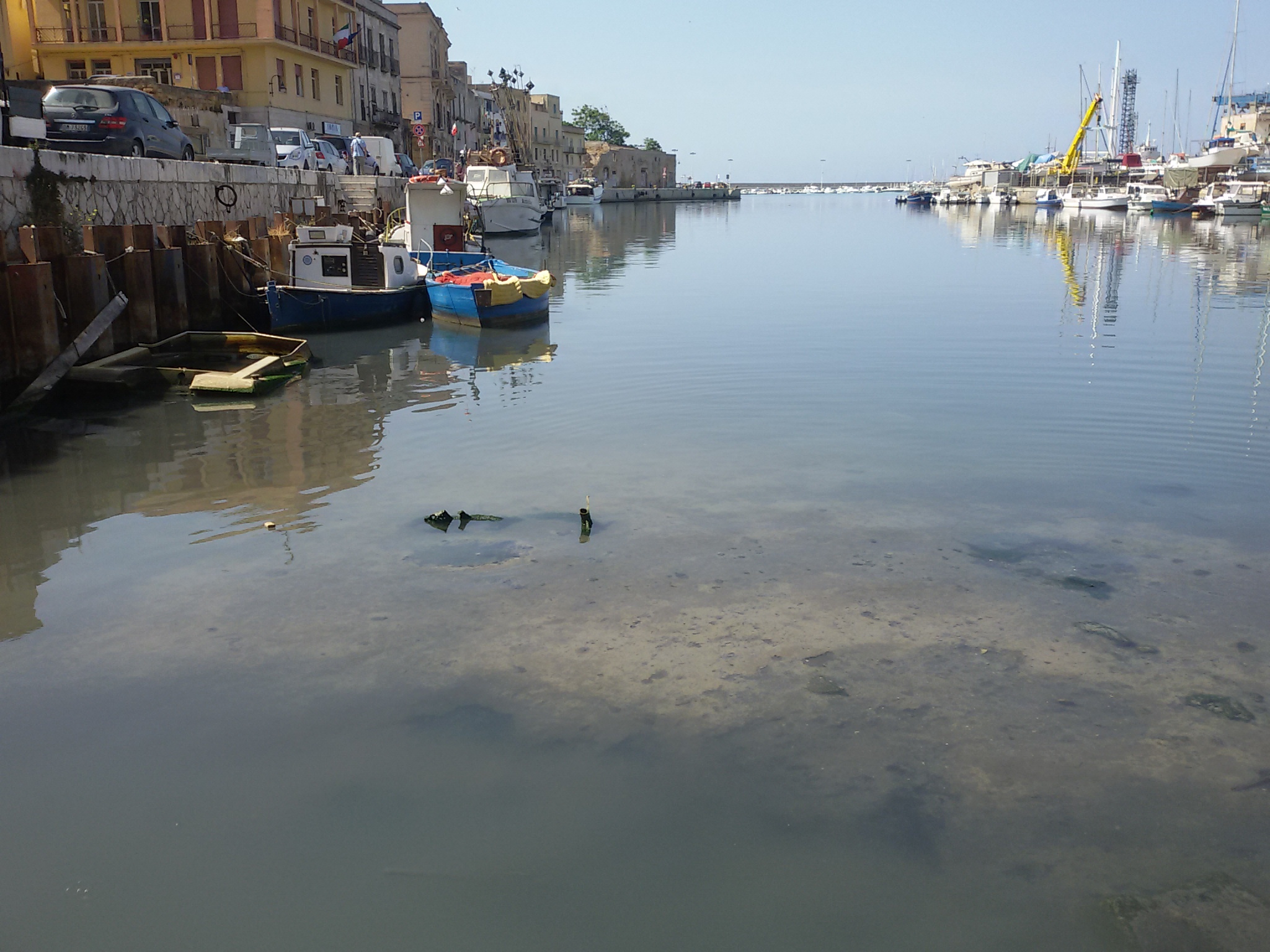 Mazara, video dichiarazione del Sindaco su l'ennesima richiesta della regione per i lavori di dragaggio del Fiume Mazaro