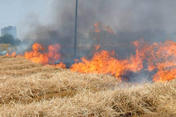 Campobello: «Prevenzione rischio d’incendi, anche quest’anno il sindaco ha emanato un’ordinanza»