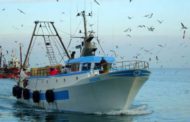 Musumeci presenta un ddl per tutelare la pesca e i prodotti ittici siciliani