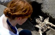 Eccezionale a Pompei, riemerge l'ultimo fuggiasco