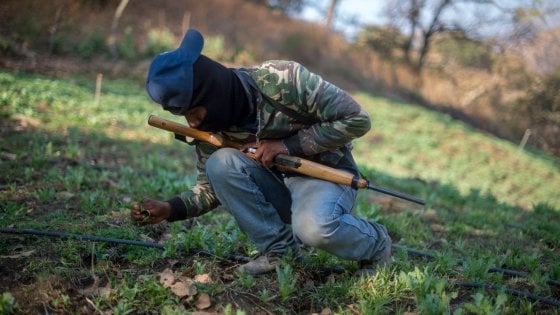 Messico, sei donne rapite e uccise da banda di uomini armati