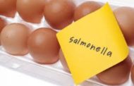 Germania: è allarme per uova alla salmonella. Lo segnala oggi l'Ufficio federale della sicurezza alimentare tedesco