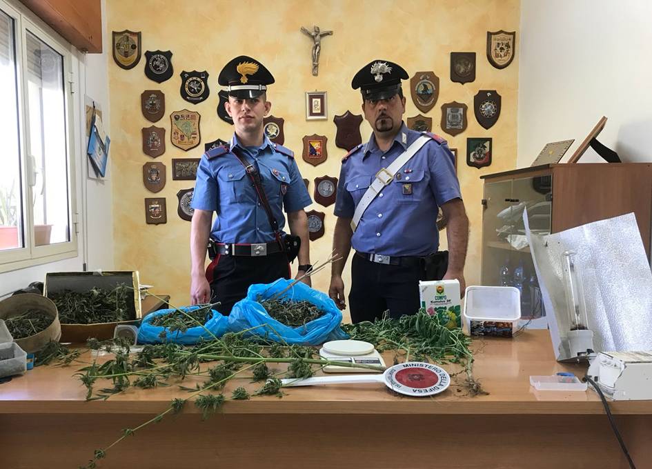 Campobello. Arrestato giovane castelvetranese per spaccio di droga