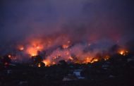 Atene, bruciano le foreste vicine alla capitale: almeno 50 morti e 150 feriti, migliaia in fuga