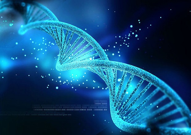 L'ipertensione risultato di oltre mille regioni del Dna