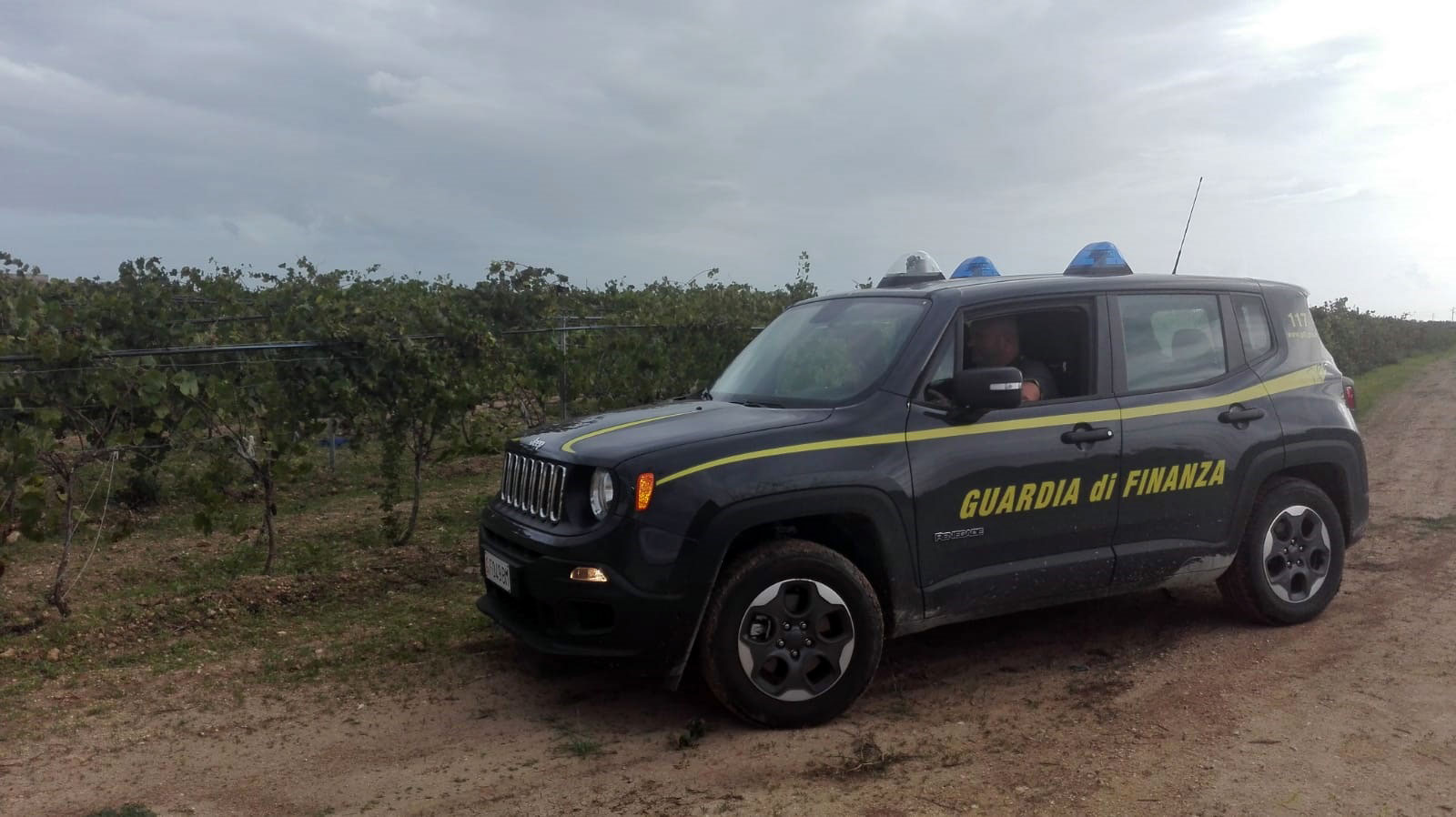 VENDEMMIA: Continua l'attività di contrasto al lavoro sommerso in provincia di Trapani