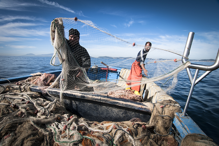 Pesca. UGL, la politica regolamenti pesca ricreativa