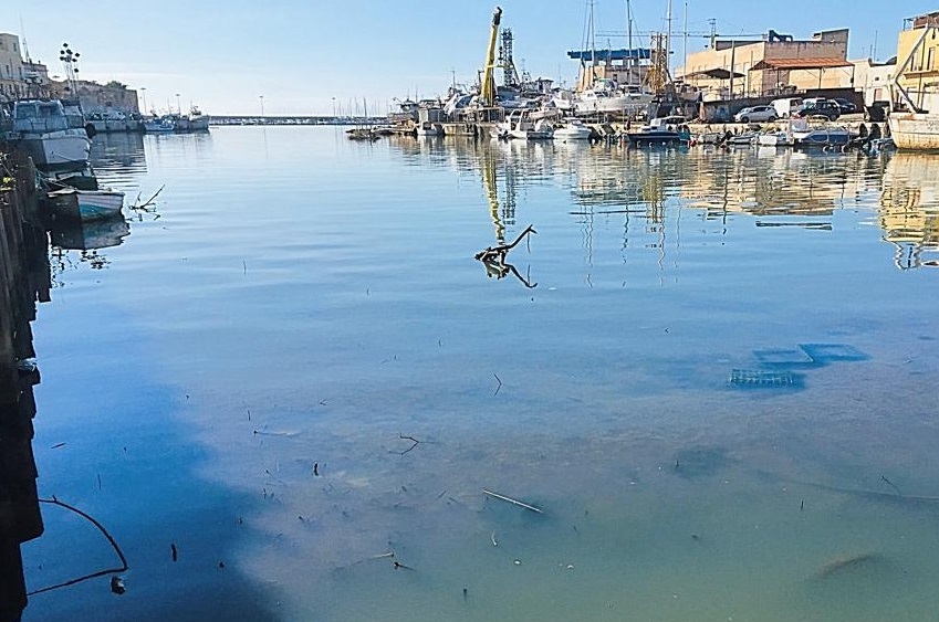 Mazara. Dragaggio porto canale, riunione della IV Commissione dell'ARS: proposta operativa