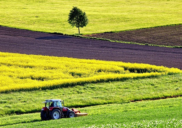 Il presidente della Regione, Musumeci, ha presentato 15 nuovi bandi che mettono a disposizione degli imprenditori agricoli siciliani quasi 146 milioni di euro