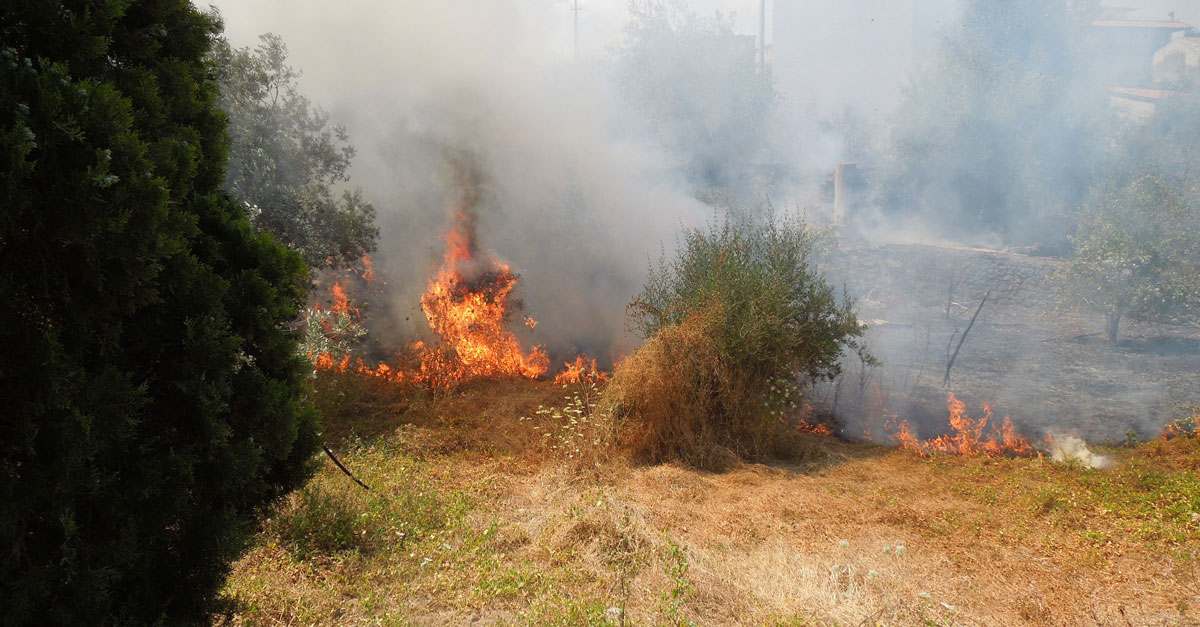 Mazara. Azione di prevenzione incendi ed eliminazione sterpaglie