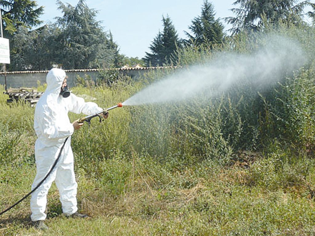 Mazara, si completano gli interventi di derattizzazione e disinfestazione