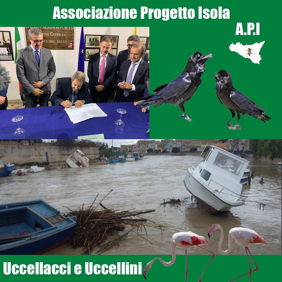 Mazara. A.P.I - associazione progetto isola 