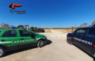 Campobello. CARABINIERI INDIVIDUANO UNA DISCARICA ABUSIVA: SEQUESTRATA L’AREA E DENUNCIATO IL PROPRIETARIO