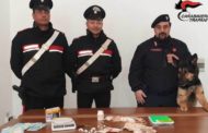 MARSALA: SERVIZI ANTIDROGA DEI CARABINIERI. 65ENNE IN MANETTE