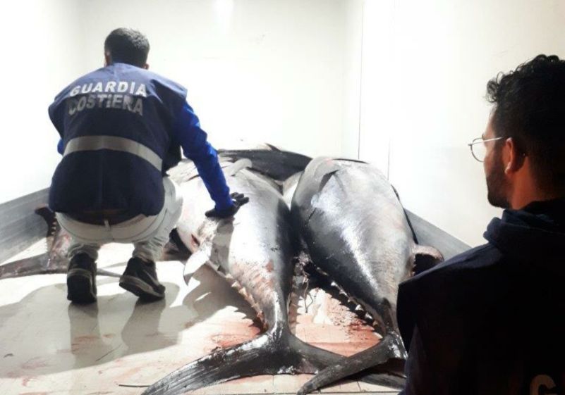 Marsala. Pesca illegale di Tonno rosso: sequestrati 15 esemplari per oltre 18 quintali