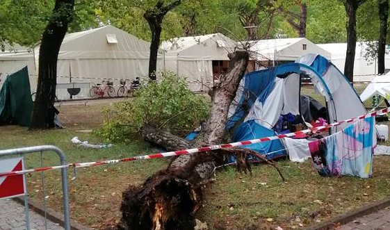 Cade un albero su una tenda in campeggio: morte due bambine