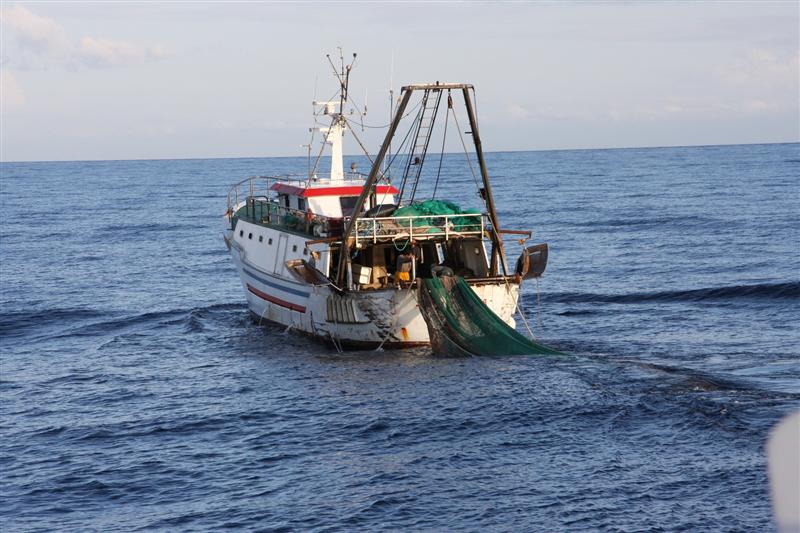 Pesca e biodiversità, Tardino (Lega): “La nuova strategia Ue dimentica il ruolo dei pescatori e delle flotte artigianali, presentati 14 emendamenti”