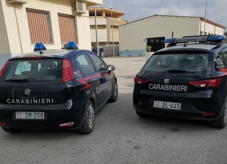 Mazara. Furto al Rifugio sanitario per cani. Norrito (Assessore al Benessere degli Animali) 