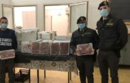 Gamberoni e scampi non tracciati sequestrati a Palermo ad una ditta di Mazara