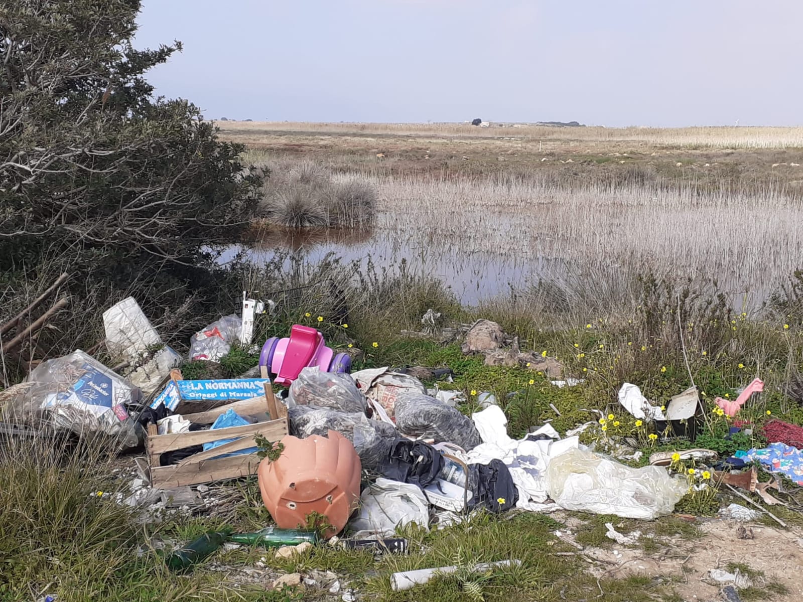 Mazara. L'Oasi di Capo Feto appartiene a tutti anche ai cani reimmessi sul territorio. L'Enpa risponde alle dichiarazioni rese dalla Presidente dell'associazione 