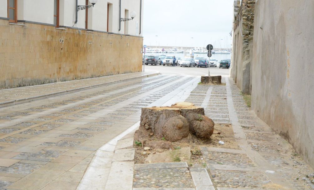 Mazara. Alberi pericolanti tagliati in via San Giovanni: dichiarazione dell'architetto Mauro Falzone