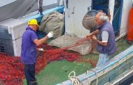 LA CEI ORGANIZZA A MAZARA DEL VALLO LA GIORNATA MONDIALE DELLA PESCA