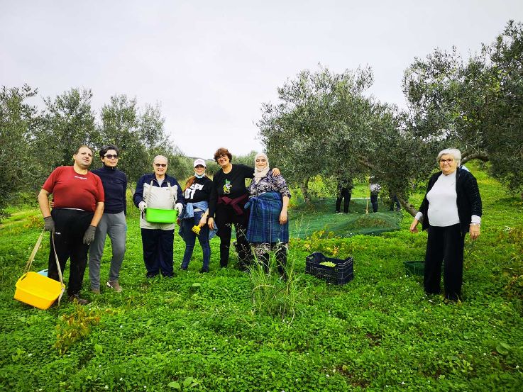 A SELINUNTE RACCOLTE LE OLIVE NEL FONDO CONFISCATO