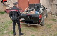 WEEKEND: RISSE E FESTE ABUSIVE. DENUNCIATE 7 PERSONE DAI CARABINIERI