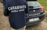 PERCEPISCONO INDEBITAMENTE IL REDDITO DI CITTADINANZA. DENUNCIATI DAI CARABINIERI