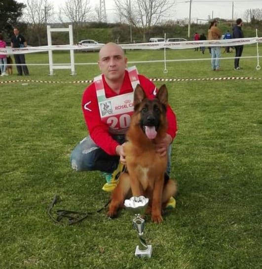 Mazara. Il Pastore Tedesco Bonny, dell’allevamento mazarese di Casa Catalano, conquista il secondo posto al 66° Campionato a Padova