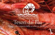 Mazara si prepara a “Tesori dal Blu”. Ecco i tantissimi eventi in programma