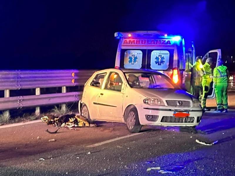 Incidente mortale nei pressi dello svincolo di Campobello, morta una donna