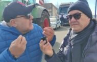 Mazara. Manifestazione di protesta degli agricoltori e altre categorie