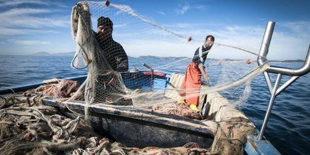 Via libera dalla Regione: Pesca e acquacoltura, ok al programma Feampa da 116 milioni