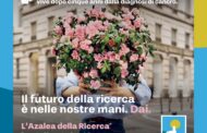 Mazara. Domenica 12 maggio, dalle ore 9.00, in piazza Mokarta, vi aspettano i volontari dell'AIRC