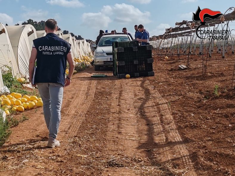 SERVIZIO STRAORDINARIO IN AGRICOLTURA SUL CAPORALATO E LAVORO SOMMERSO IN TRAPANI E PROVINCIA