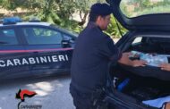 Mazara. IN AUTO CON DROGA E SOLDI IN CONTANTI. 26ENNE ARRESTATO PER SPACCIO