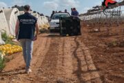 CAMPAGNA OLEARIA: Controlli a Mazara, Marsala, Trapani, Calatafimi